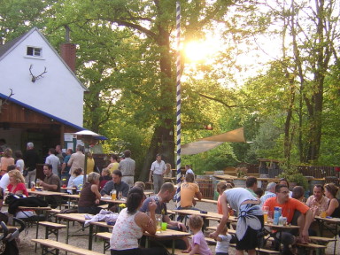 Voller Waldbiergarten in der Abendsonne mit Biertischen unter alten Bäumen