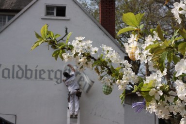 Kirschblüte und Osterschmuck am Haus im Frühling